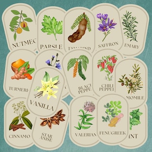 May include: A colorful illustration of various herbs and spices, including nutmeg, parsley, tamarind, saffron, rosemary, turmeric, vanilla, black pepper, chili pepper, chamomile, cinnamon, star anise, valerian, fenugreek, and mint.
