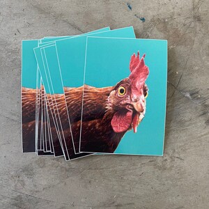 Crazy rooster stickers 10 pieces