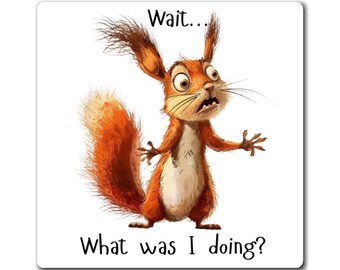 Distracted Squirrel Magnet  Funny Animal Refrigerator Magnet