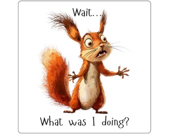 Distracted Squirrel Square Stickers | Funny Forgetful Animal Sticker