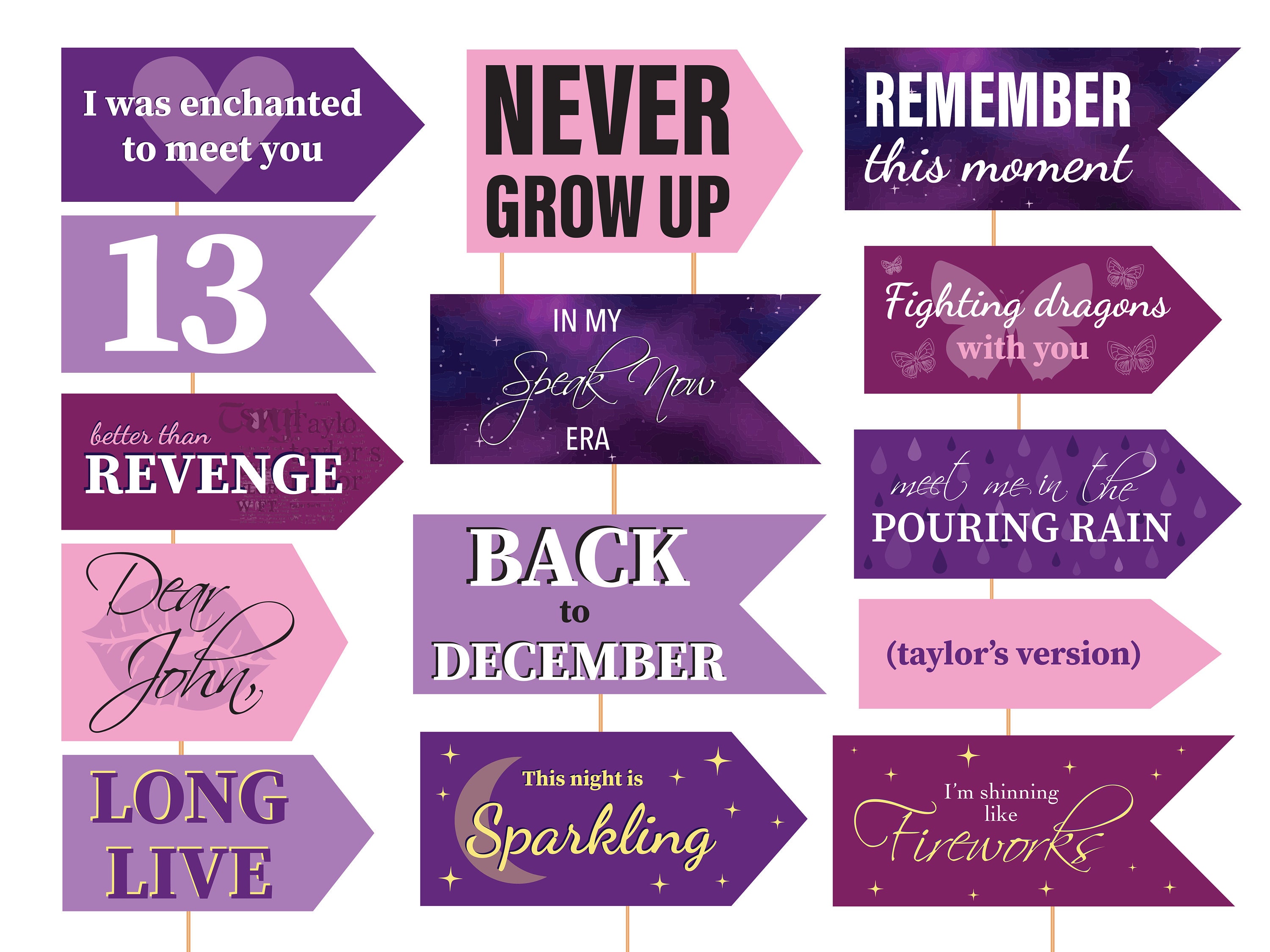 Taylor Swift Party Photo Booth Props Speak Now Eras Party Swifties