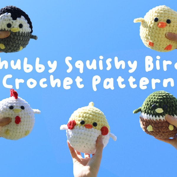 PDF File 5 in 1 Chubby Squishy Birds Crochet Pattern