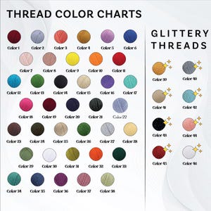 Pu&ograve; includere: Tabella colori di 46 diversi colori di filo, tra cui rosso, blu, verde, giallo, arancione, viola, rosa, marrone e bianco. La tabella &egrave; etichettata "Thread Color Charts" e "Glittery Threads".