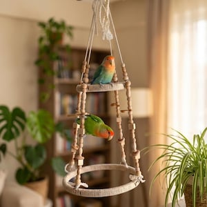 Boho Bird Swing and Gym – Natural Cotton Rope, Wooden Perch for Cockatiel, Budgie