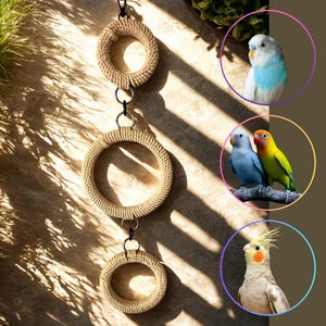 May include: A beige rope bird toy with three circular rings connected by metal rings. The image also features three colorful birds: a blue parakeet, two lovebirds, and a cockatiel, each in a circular frame.