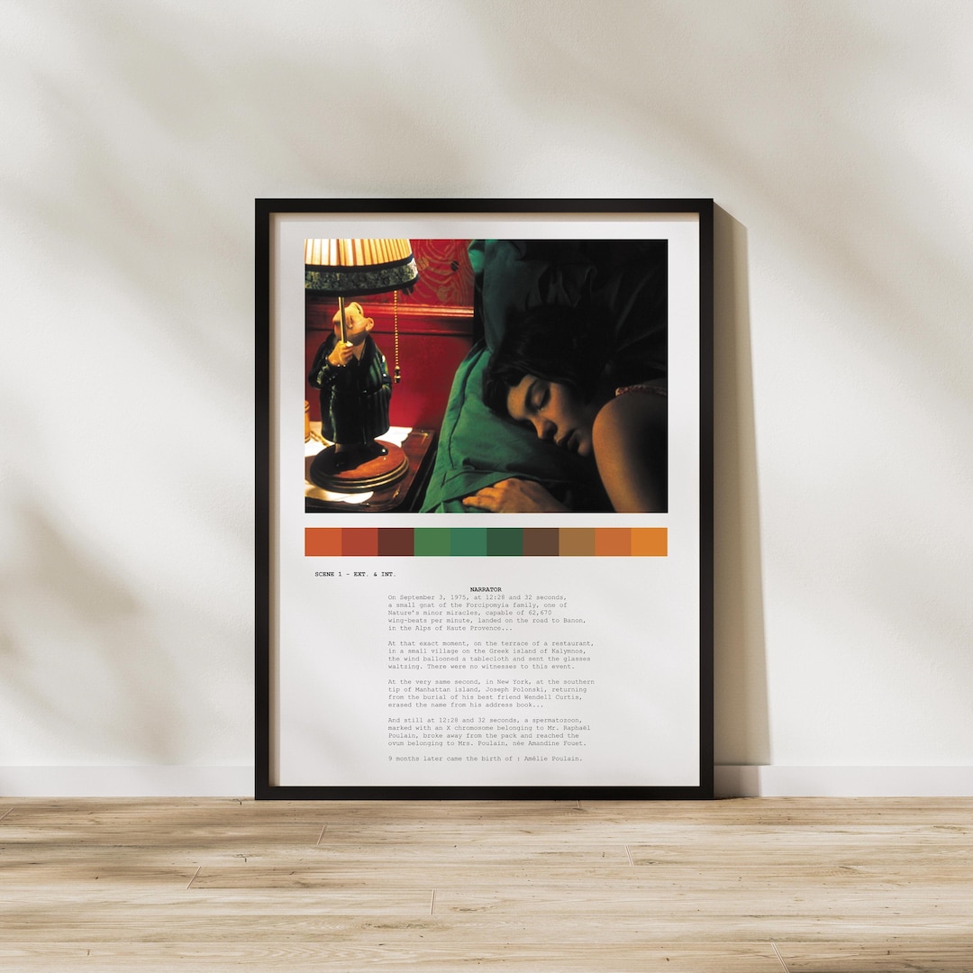 Amélie Film Poster: Le Fabuleux Destin D'amélie Poulain Script - Etsy