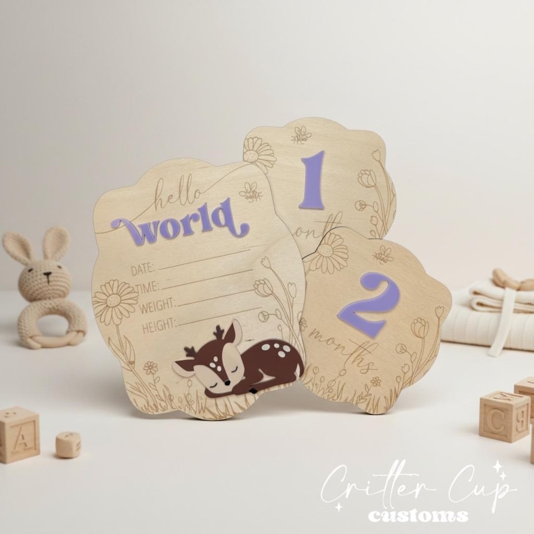 Baby Deer Milestone Discs, Custom Birth Announcement Photo Prop, 1st ...
