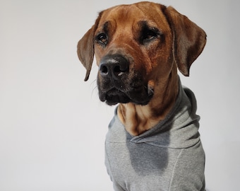 Hunde Hoodie