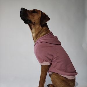 dog hoodie