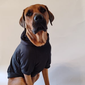 dog hoodie
