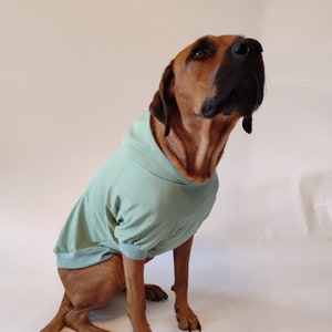dog hoodie