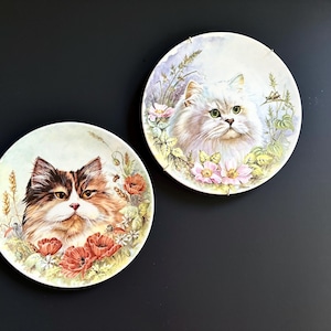 May include: Two decorative ceramic plates with images of cats. The plates are white with a floral design and feature a white cat with pink flowers and a brown and white cat with red flowers.