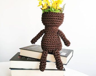 Crochet hanging basket, flower pot, Home organizer crochet box, small storage basket, plant pot, Crochet handmade plants baskets