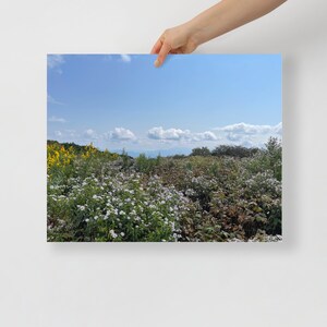 Wildblumen auf großer Blüte