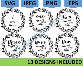 Cute Baby Milestone Rounds SVG Bundle, monthly milestone svg, baby announcement svg, birth stats svg, cute animals svg, hello world svg png