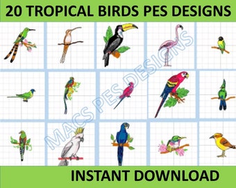 Tropical Birds PES designs Machine Embroidery files instant download brother file pack embroider bird beautiful birdy flying flight