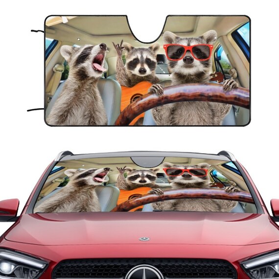 Funny car visors discount