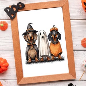 May include: A framed Halloween-themed print featuring three dachshunds dressed in costumes: a witch, a ghost, and a pumpkin. The wooden frame is surrounded by Halloween decorations, including pumpkins, candy eyeballs, and a black "Boo" sign.