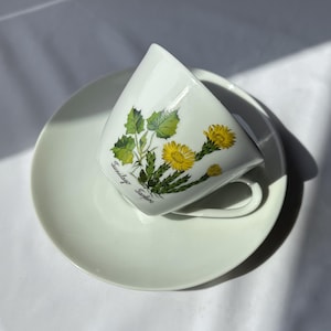 Può includere: Servizio da tè bianco composto da tazza e piattino con un motivo floreale di fiori gialli e foglie verdi. La tazza è inclinata, rivelando il motivo floreale e le parole "Tussilago Farfara".