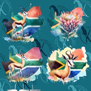 Stampe PNG di Springbok sudafricano - Trasparenti - Uso commerciale - Proudly SA