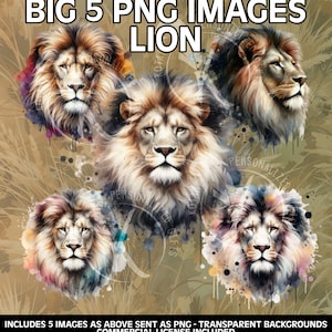 ALL Big 5 Animals - PNG Transparent Images - Commercial - Lion Leopard Rhino Elephant Buffalo - South African Wild Big FIVE - Bundle