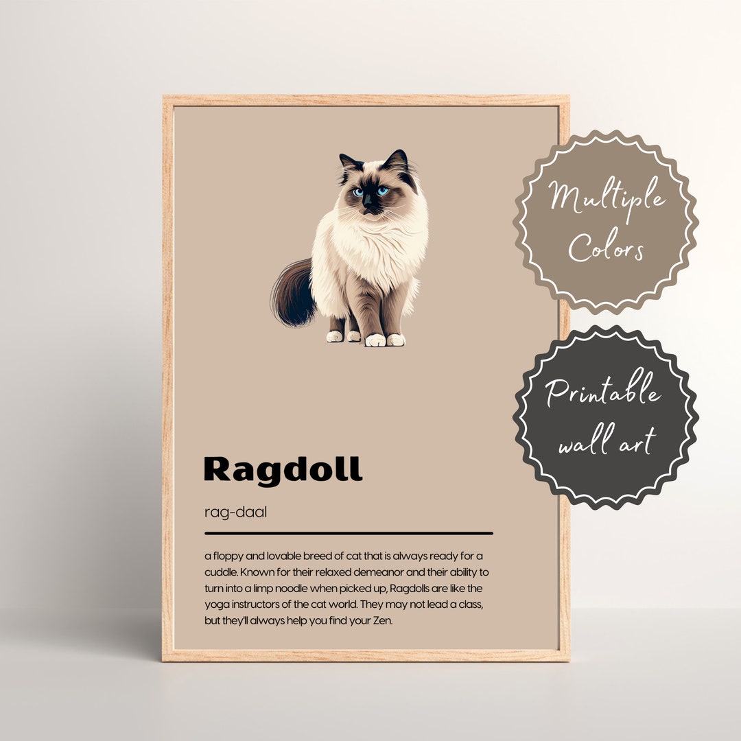 Ragdoll Definition Print Poster Cat Definition Print Poster Etsy UK