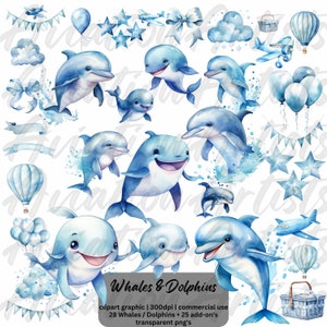 Aquarelle baleines & dauphins Clipart, Clipart aquarelle animaux de mer, bébé douche png, animaux de l’océan, aquarelle poisson sous la mer clip art