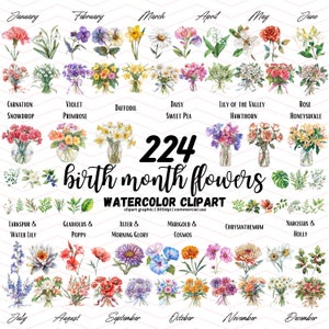 Imágenes Prediseñadas de flores de nacimiento, imágenes prediseñadas de flores del mes de nacimiento, PNG de flores de nacimiento, imágenes prediseñadas de flores del mes de nacimiento, imágenes prediseñadas del mes de nacimiento, mes de nacimiento de acuarela