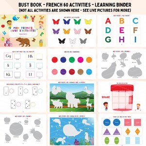 May include: A colorful French learning binder with 60 activities for kids. The binder includes activities like matching letters, numbers, colors, and animals. The cover features a colorful illustration of a butterfly and the text "Mon Premier Livre d'Activit&eacute;s".