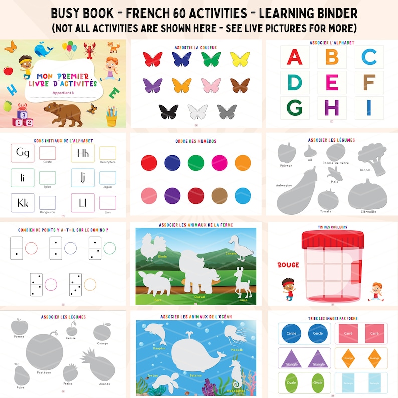 May include: A colorful French learning binder with 60 activities for kids. The binder includes activities like matching letters, numbers, colors, and animals. The cover features a colorful illustration of a butterfly and the text "Mon Premier Livre d'Activit&eacute;s".