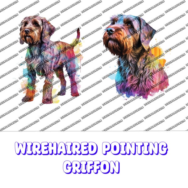 Wirehaired Pointing Griffon PNG, Pointing Griffon png, Pointing Griffon portrait, griffon Splash Design, Pointing Griffon watercolor,