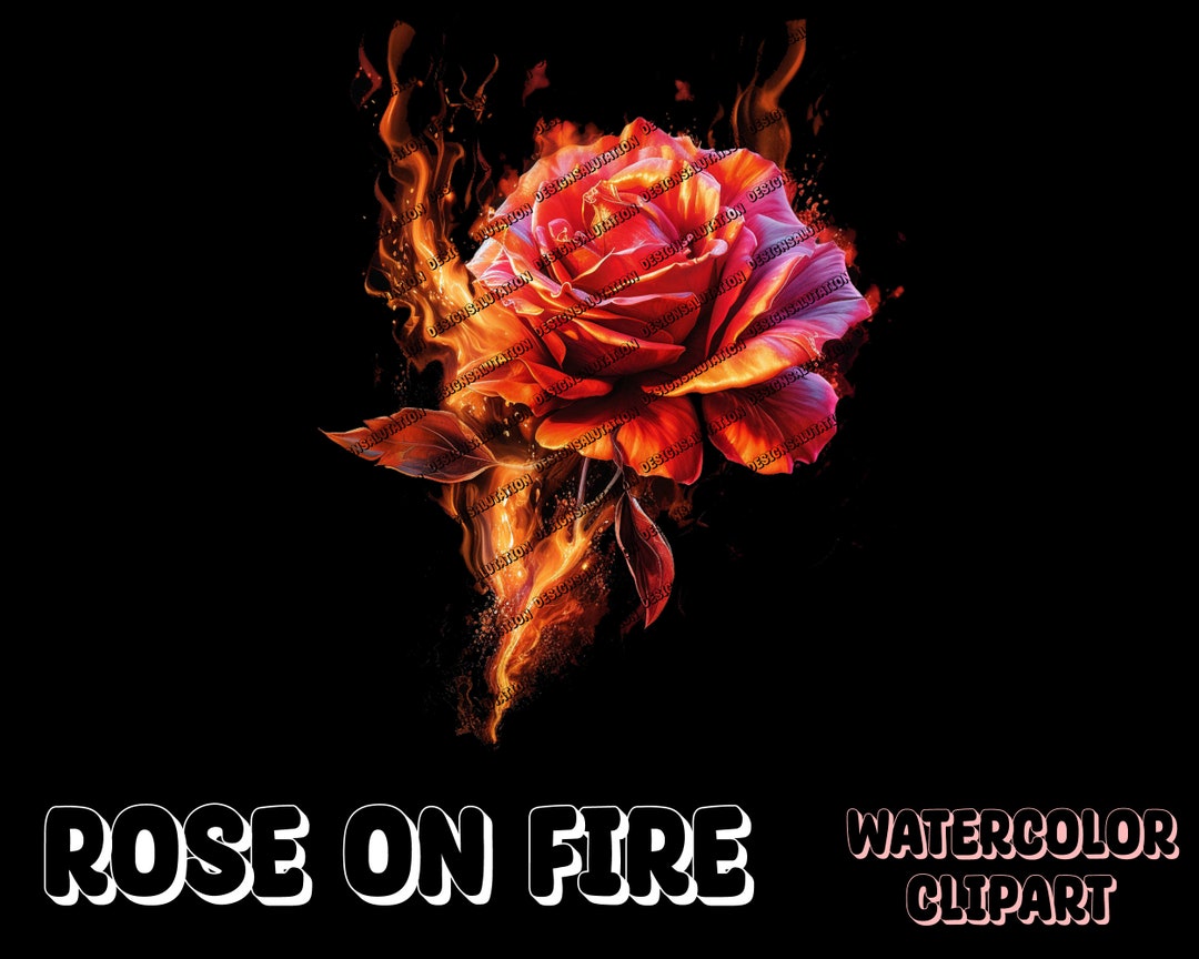 Rose on Fire PNG Colorful Rose Sublimation for Shirts Art Mugs Tumbler
