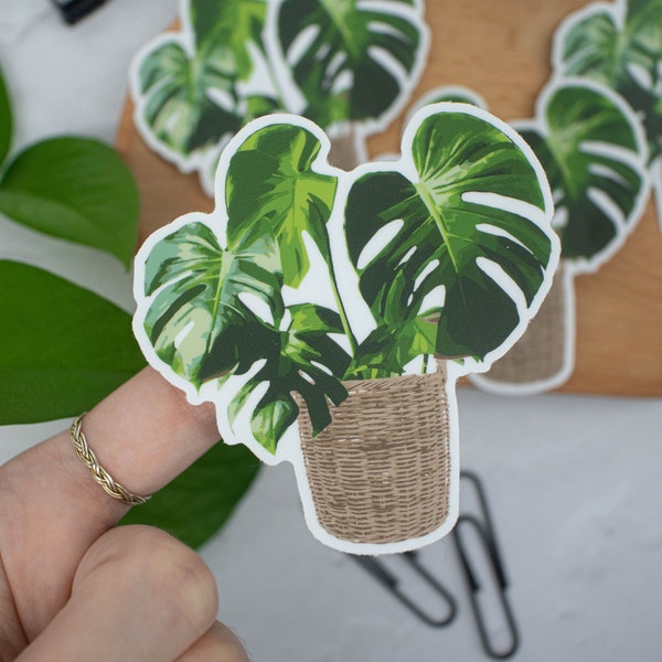 Houseplant Vinyl Sticker | Monstera in Basket Sticker | Cute Boho Plant Sticker, Plant Lady, Plant Mom