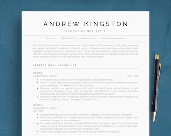 Google Docs ATS Friendly Resume Template, Executive CV Template and Cover Letter, Modern Minimalist & Simple Resume Example for Professional