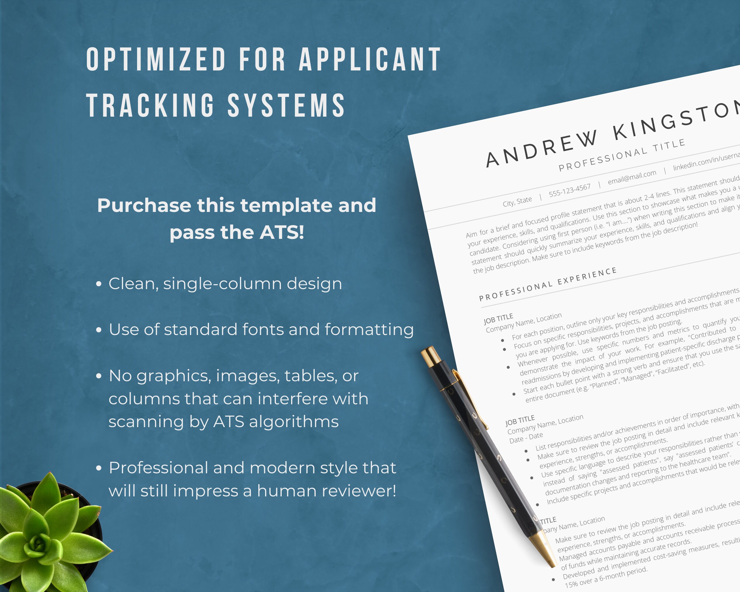Google Docs ATS Friendly Resume Template, Executive CV Template and ...