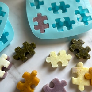 Puzzle Frozen Dog Treat Mold