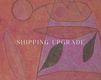 Replacement Order Shipping