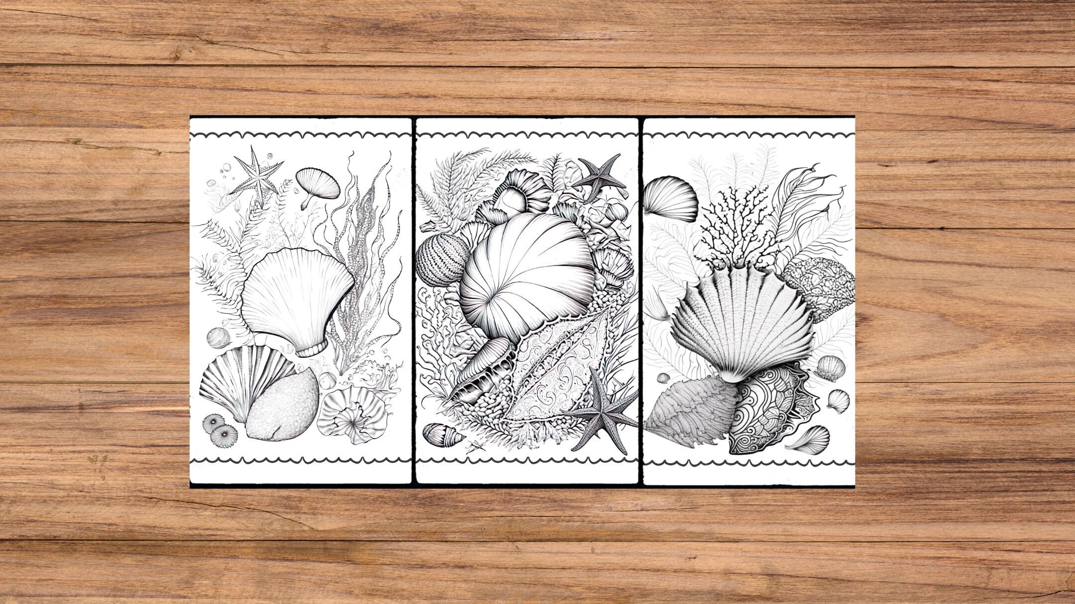 Ocean Coloring Pages Seashells Coloring Pages Coloring for Adult and