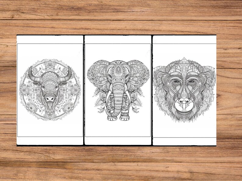 Safari Animals Mandala Coloring Pages | Adult Coloring Book (digital ...