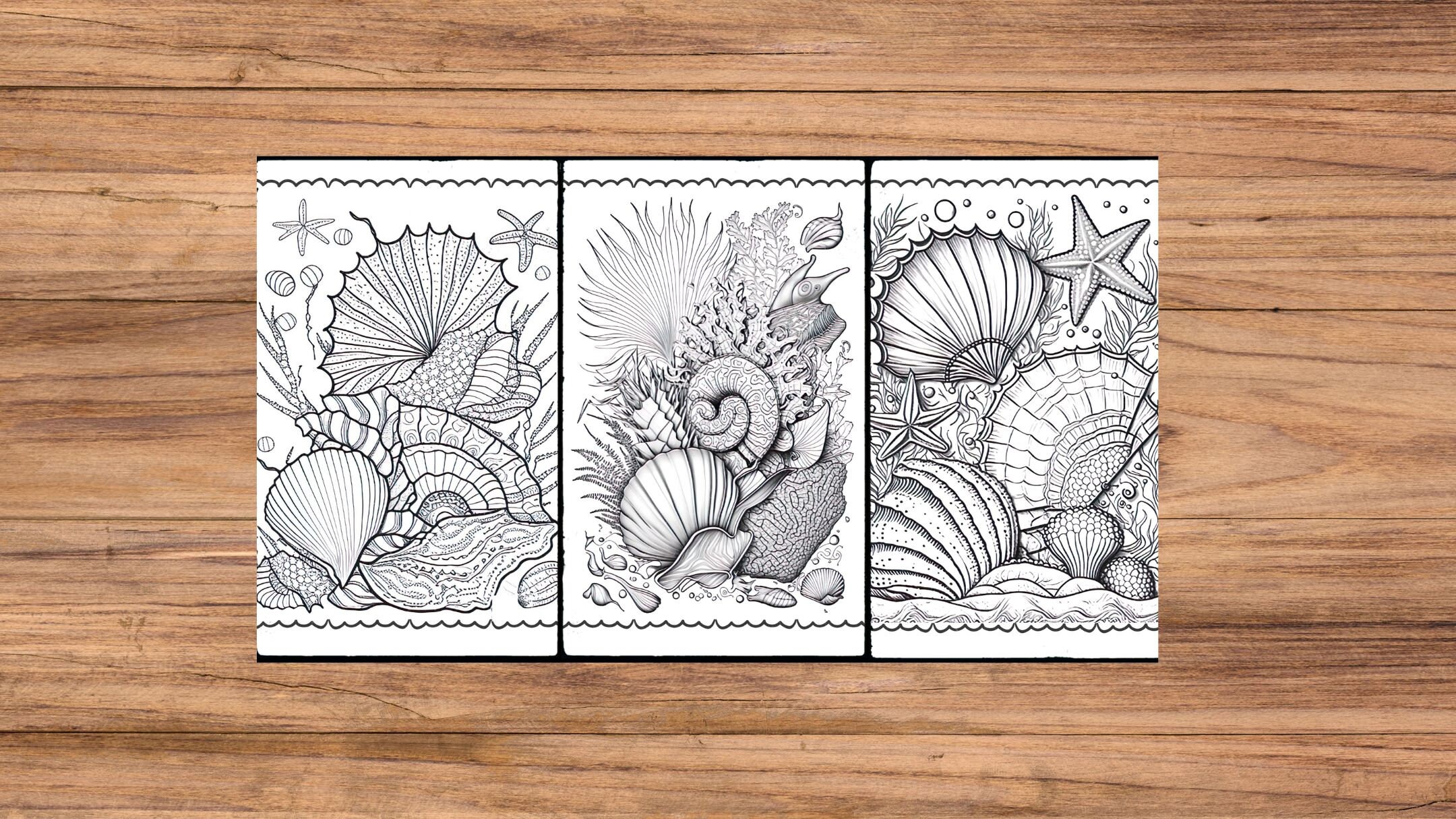 Ocean Coloring Pages Seashells Coloring Pages Coloring for Adult and