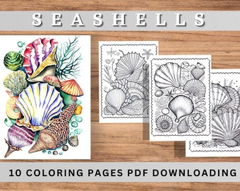 Ocean Coloring Pages for Adults| Beach Coloring book| Digital Download