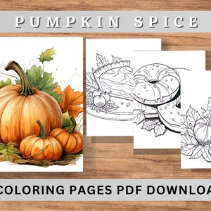 Thanksgiving Coloring for Adult| Pumpkin Coloring pages| Fall Coloring book| Printable & Digital Download