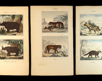 Rare 19th Century Set of 3 Genuine Steel Engraving Plates for the Works of Buffon, Published by Duménil