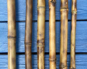 Fresh Cut Bamboo Poles – 2.5–3 Inch Diameter, 3ft To 8ft Lengths, Flame Treated For Durability (6 Pack)