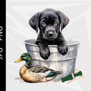 Czarny labrador retriever, pies myśliwski na kaczki, polowanie na krzyżówki, polowanie na kaczki, projekt ptactwa wodnego, pobieranie cyfrowe