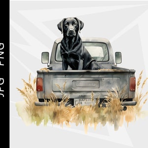 Czarny labrador retriever, pies myśliwski na kaczki, polowanie na krzyżówki, polowanie na kaczki, projekt ptactwa wodnego, pobieranie cyfrowe