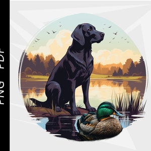 Czarny labrador retriever, pies myśliwski na kaczki, polowanie na krzyżówki, projekt ptactwa wodnego, pobieranie cyfrowe