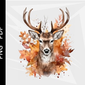 Watercolor white tail deer, deer decoration, sublimation, deer hunting, deer shirt design