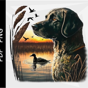 Czarny labrador retriever, pies myśliwski na kaczki, polowanie na krzyżówki, polowanie na kaczki, projekt ptactwa wodnego, pobieranie cyfrowe