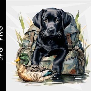 Czarny labrador retriever, pies myśliwski na kaczki, polowanie na krzyżówki, polowanie na kaczki, projekt ptactwa wodnego, pobieranie cyfrowe